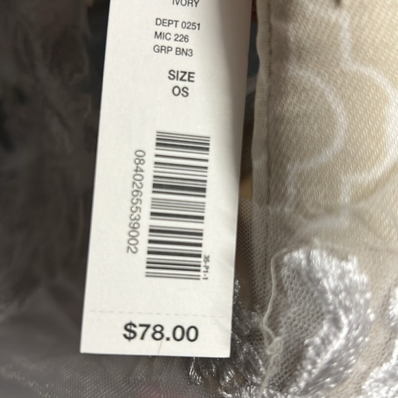 NWT Borrowed & Blue by Southern Living wedding cape/ shawl. Lace detail gorgeous - Picture 8 of 9